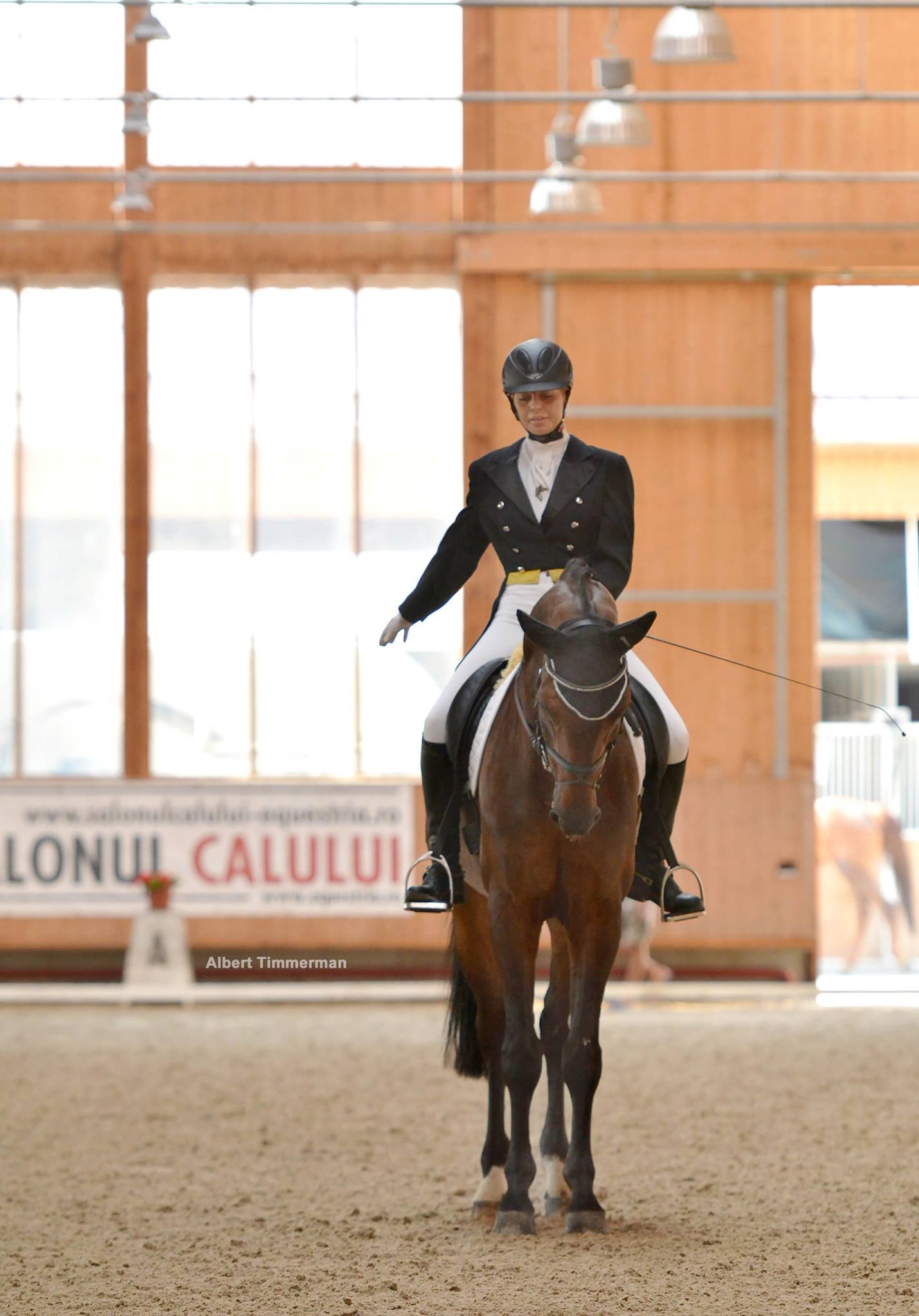 Prima “Clinică de Dresaj” din țară are loc la Clubul Equestria / GALERIE FOTO