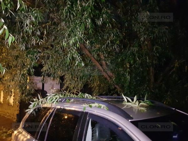 Furtună puternică în Arad. Incendiu, sute de case fără curent și mașini distruse de copaci din cauza vijeliei