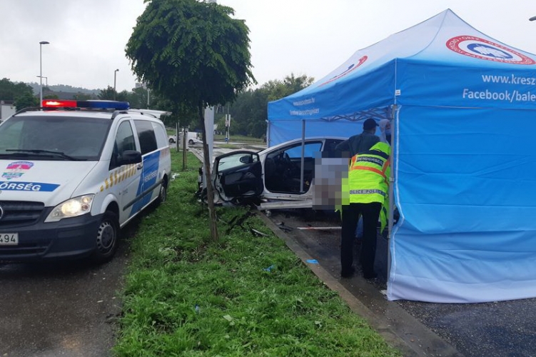 Őrültnek tettette magát a férfi, aki kalapáccsal megvert, majd halálra gázolt egy szikszói díszpolgárt: döbbenetes, hogy próbált manipulálni a gyilkos