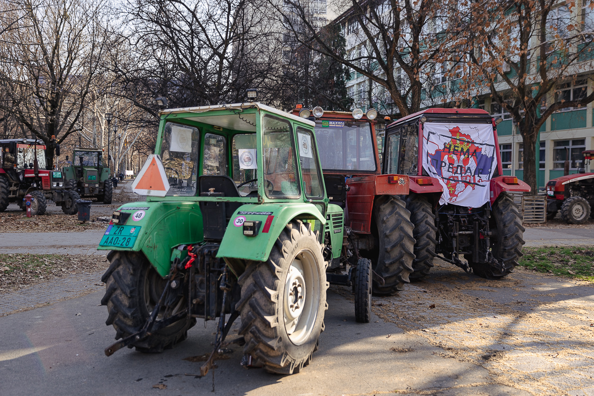 Culisele protestelor studențești care zguduie Serbia: „Sexul e mișto, dar ai încercat să i-o tragi sistemului?”