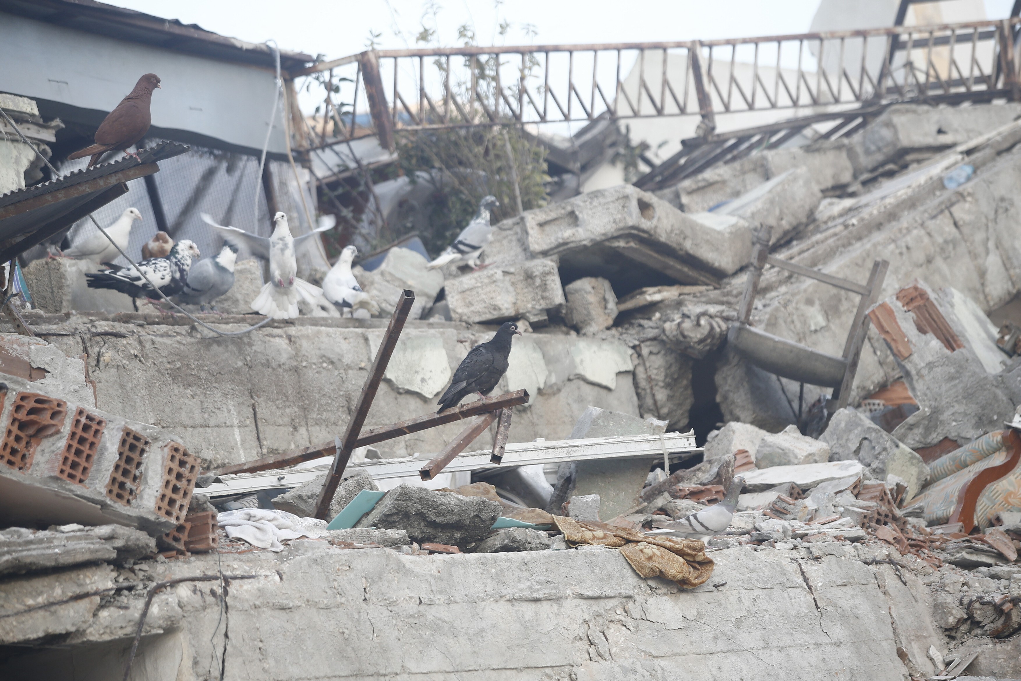 Peste 41.000 de morți, în Turcia și Siria, după cutremur. Tot mai puțini oameni sunt scoși în viață din ruine