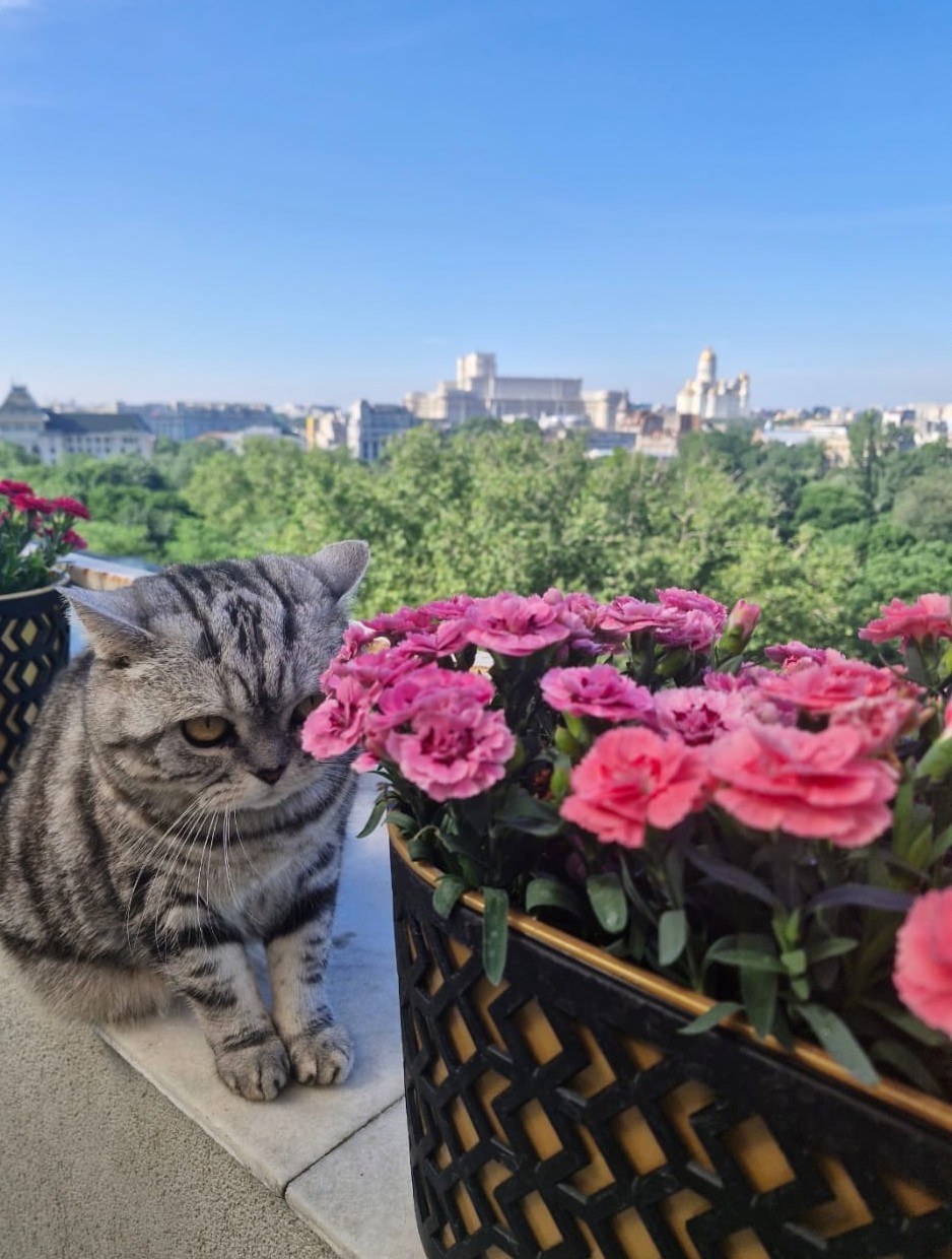 Povestea emoționantă care i-a schimbat viața lui Mihai Ghiță în urmă cu șapte ani: „S-a apropiat de mine și n-a mai plecat”