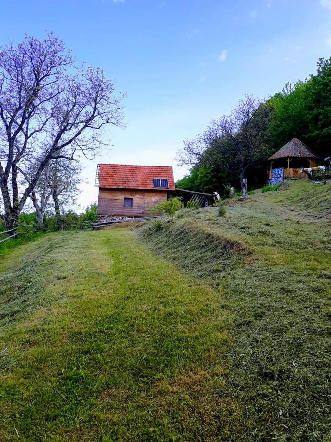 Casa părintească a Părintelui Arsenie Boca, de vânzare. Costă 3 milioane de euro și se vinde alături de 8 hectare de teren | FOTO