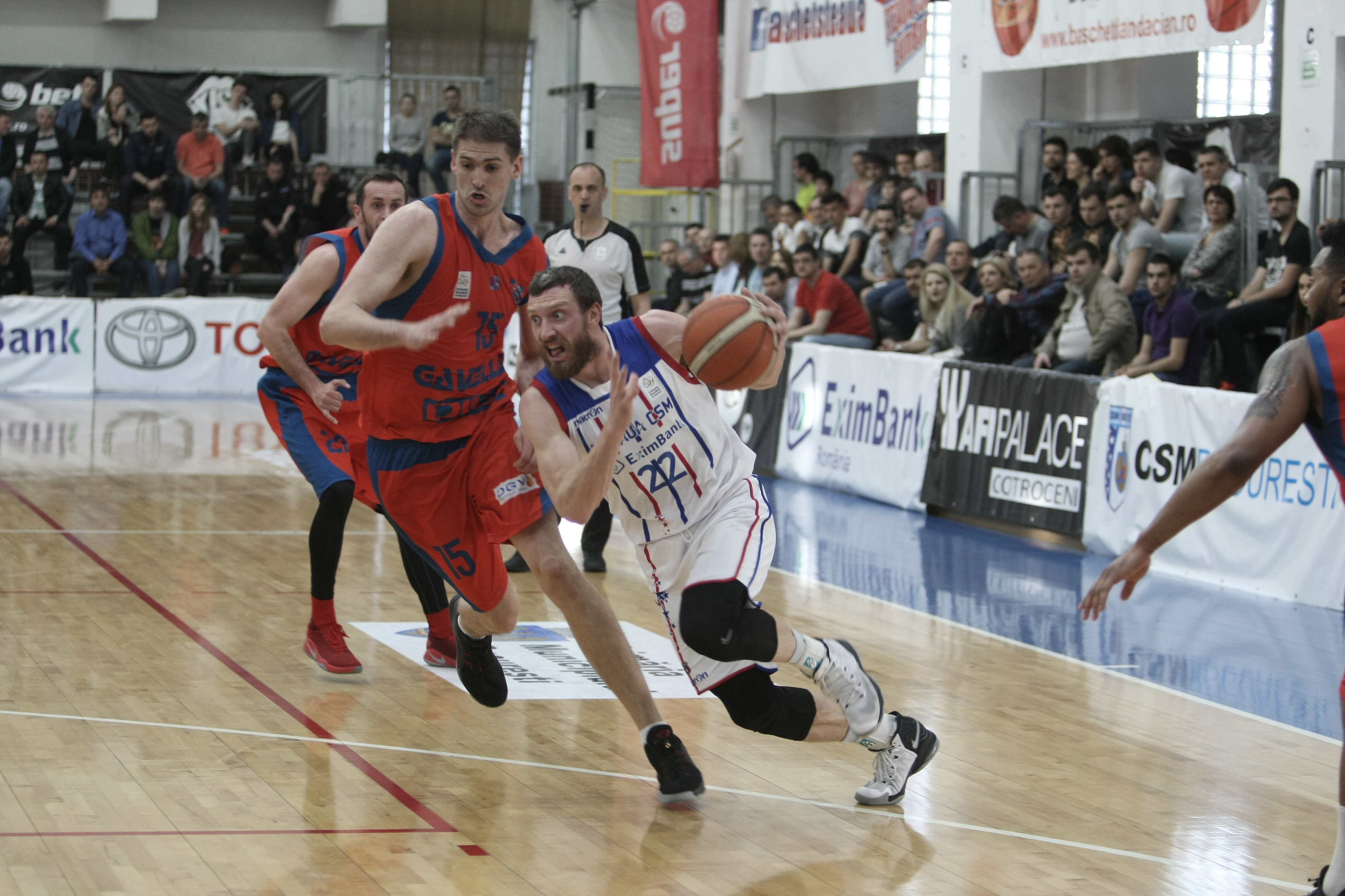 Levi Szijarto e sigur că Steaua CSM Eximbank va câștiga Liga Națională masculină de baschet: ”Suntem o echipă tare”. Darwiche: ”Da, obiectivul e titlul!” | FOTO