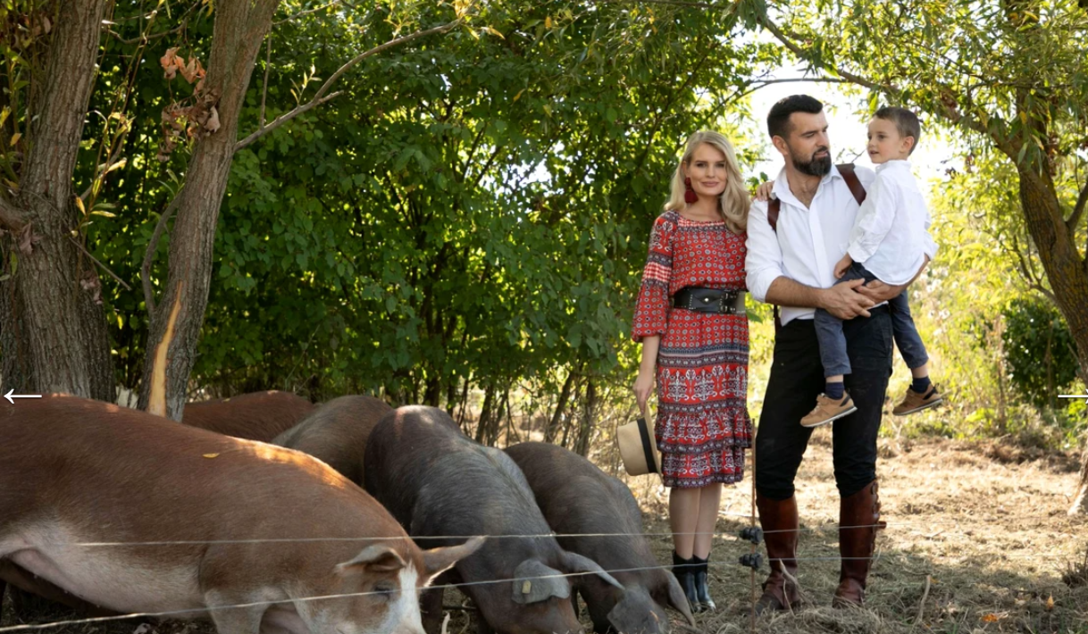 Cât costă un porc de 120 kg, pentru Crăciun, la ferma lui Vlad Miriță din Târgoviște. „Noi nu ne comparăm cu industria”