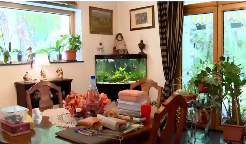 Imagini cu casa Monicăi Tatoiu. Are o vilă cu 9 dormitoare și a fost construită pe o fostă groapă de gunoi