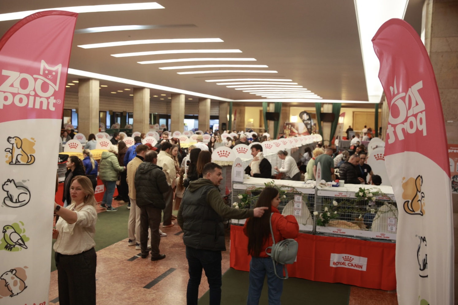 Pisici de top, priviri hipnotizante și povești spectaculoase. Cum a fost la Salonul Felin Internațional SofistiCAT