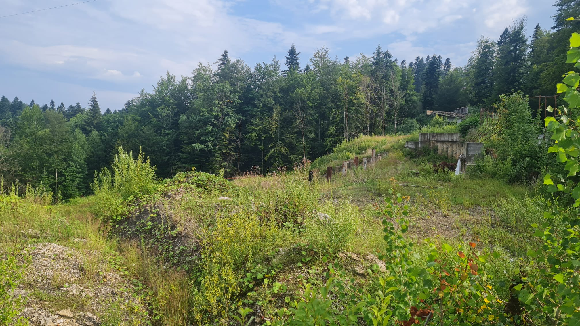 Proiectul Nordis Sinaia, unde un apartament era vândut cu peste 470.000 de euro, a rămas doar o groapă abandonată printre buruieni. Ce spun autoritățile din oraș