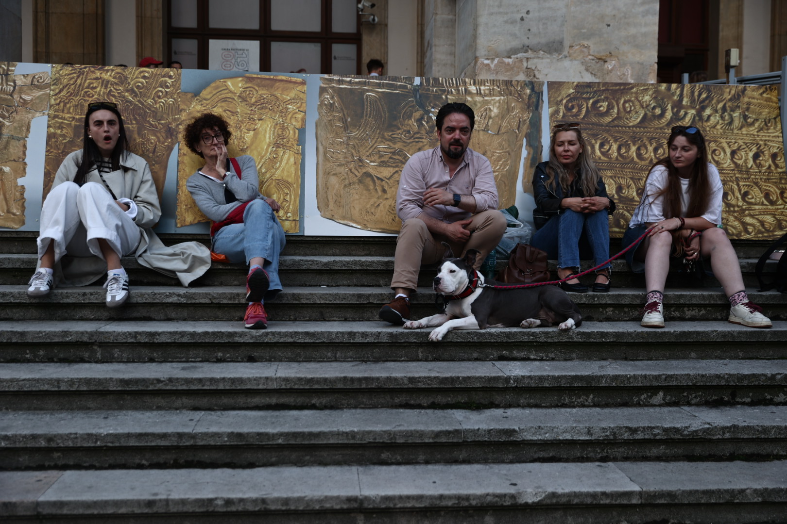 Noaptea Muzeelor 2026. Mii de oameni au stat la coadă ca să vadă muzee gratuit în București