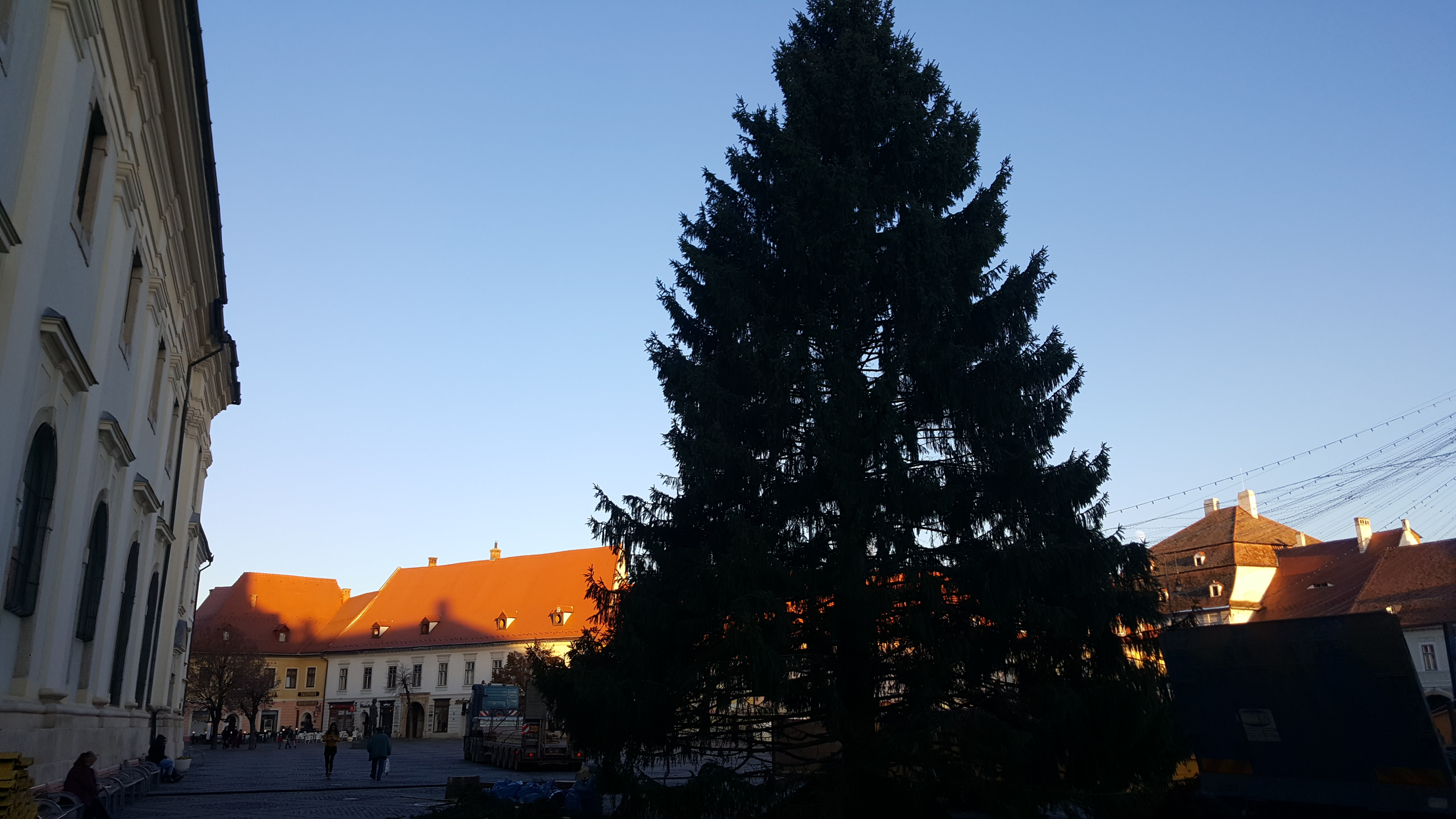 Bradul de Crăciun care va fi împodobit în Piaţa Mare a Sibiului a fost adus vineri