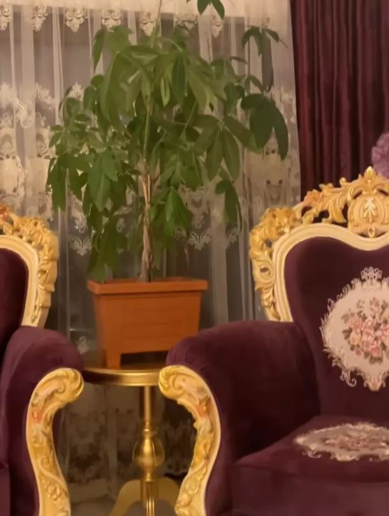 Imagini din vila în care Alin Oprea locuiește cu Medana. Doar livingul are 100 de metri pătrați: „Am reușit să îmi creez propriul Paradis”