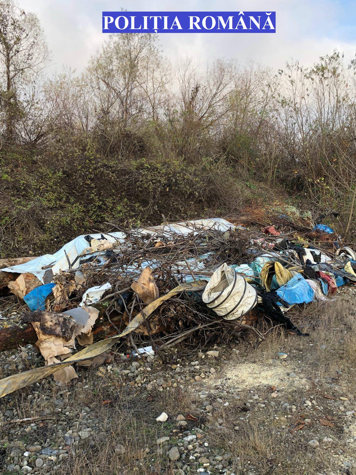Operațiuni ilegale cu lemn, în județul Caraș-Severin. Polițiștii au confiscat peste 100 de metri cubi de material lemnos