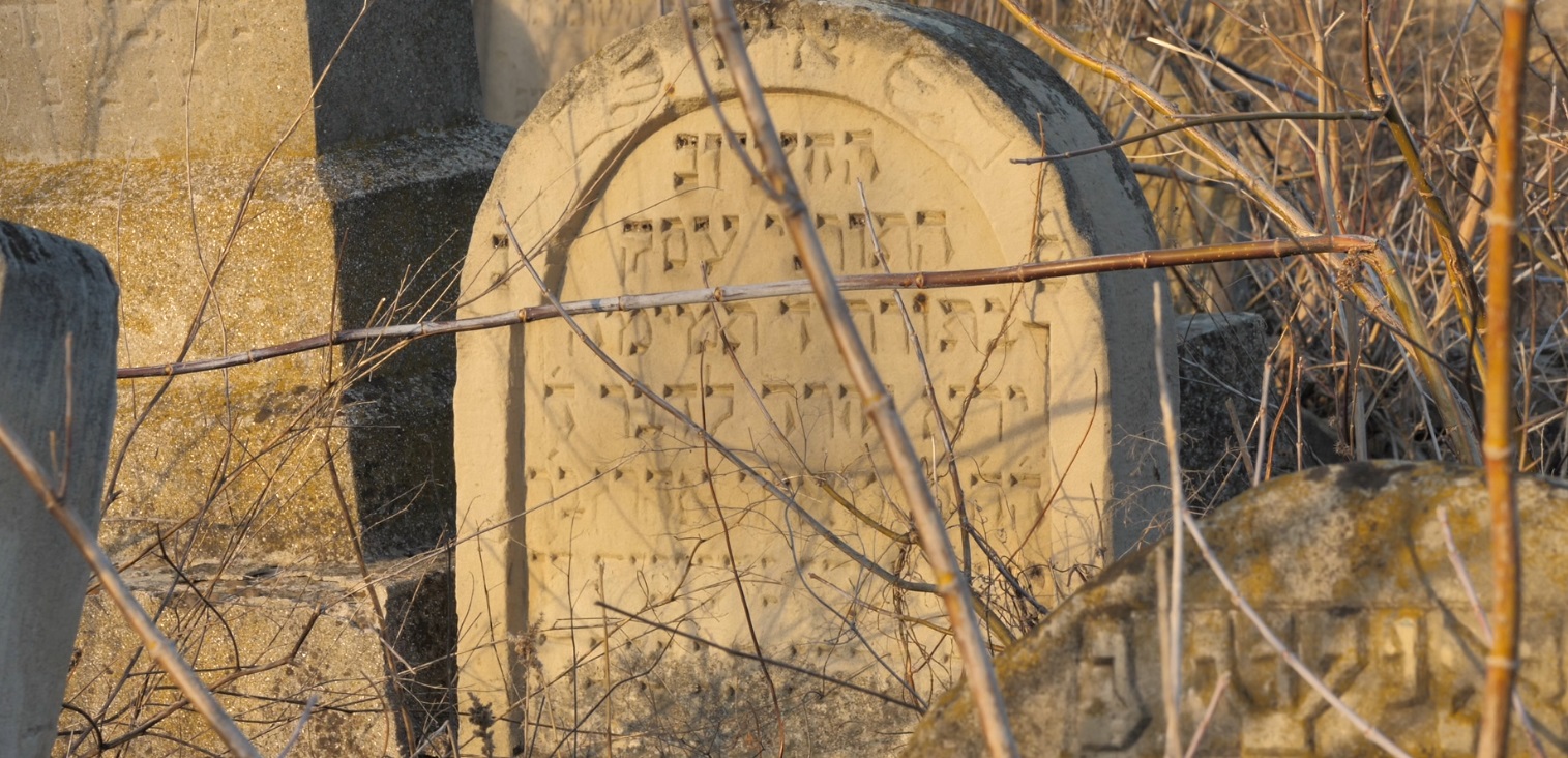 FOTO/VIDEO | „Pământul gemea de la oamenii îngropați de vii!” Reportaj cutremurător din Mărculești, o localitate scăldată în sânge, a cărei istorie neagră ne-a reamintit-o Dosarul „Moscova 2”