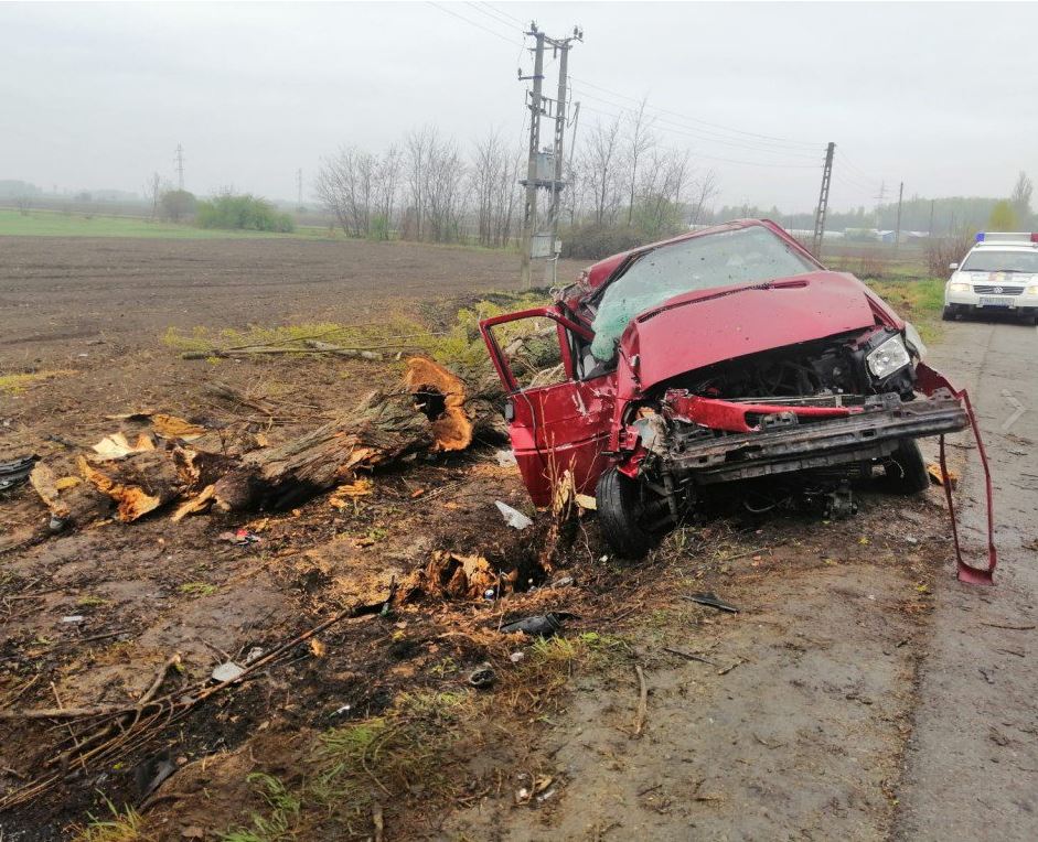 Accident pe DN1A, în Prahova. O persoană a murit şi 4 au fost rănite, după ce dubiţa în care se aflau a intrat într-un pom (FOTO & VIDEO)