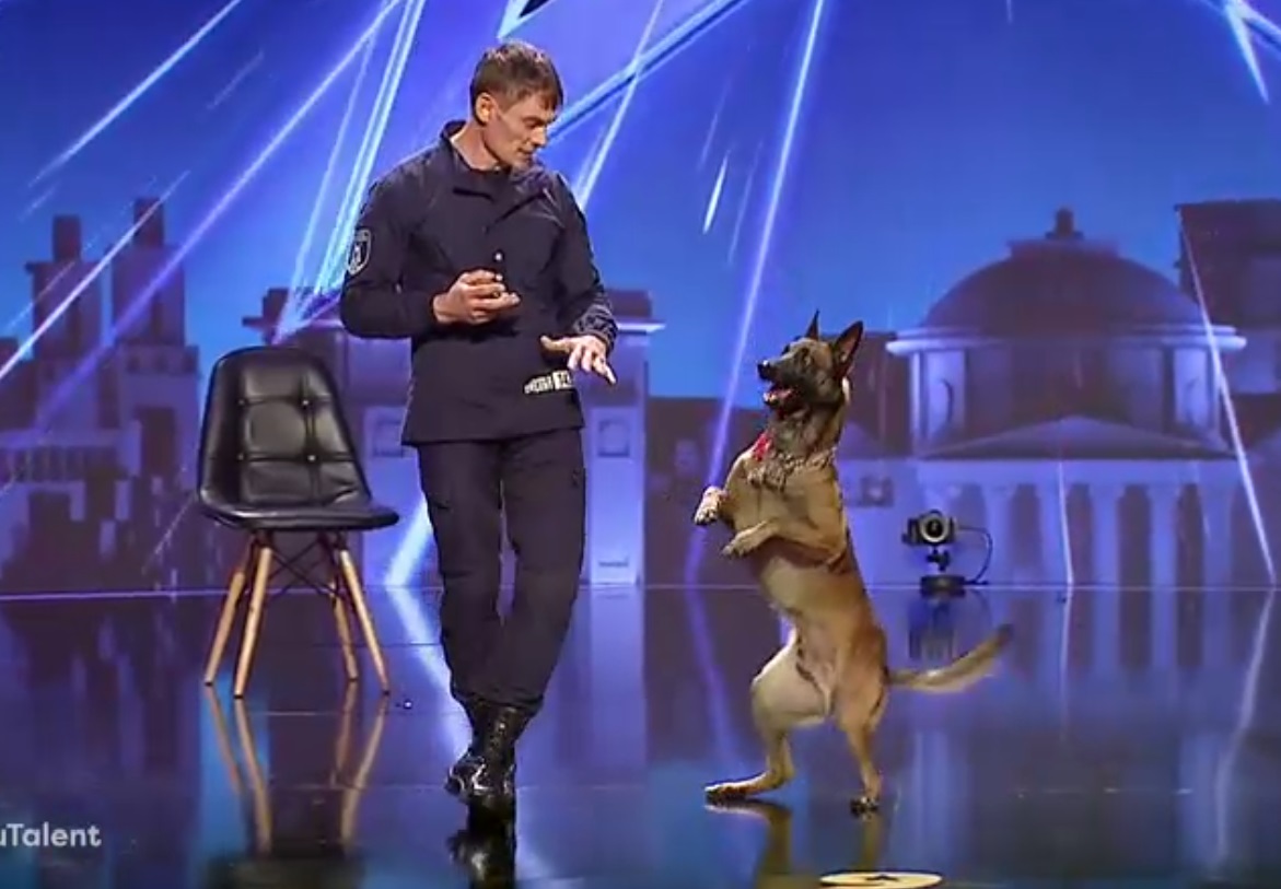 VIDEO | Câinele de frontieră care i-a lăsat fără cuvinte pe jurații Românii au talent