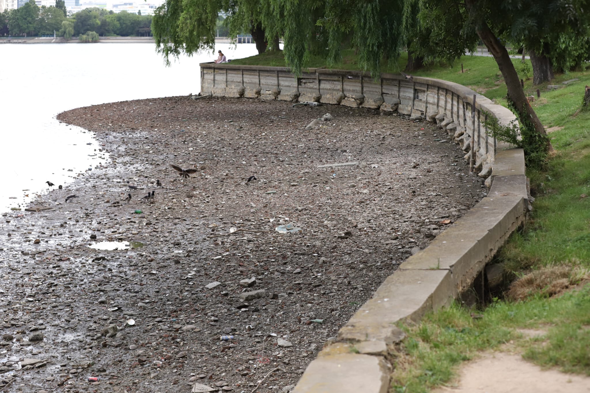 Cum arată lacul golit din parcul Herăstrău din București. Trotinete și scaune, printre obiectele găsite pe fundul lacului