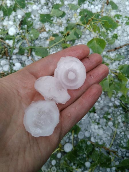 Furtună în mai multe județe din Transilvania. A plouat cu grindină, iar vântul a doborât zeci de copaci
