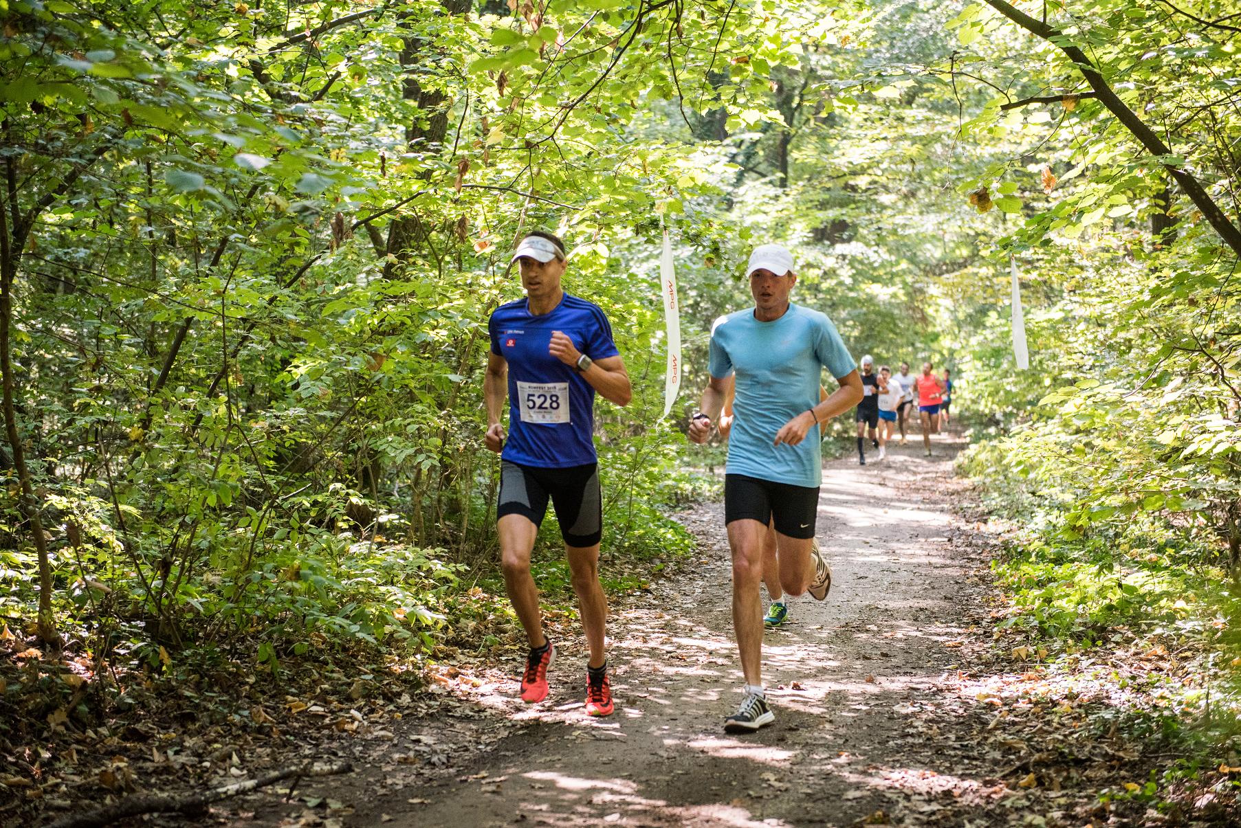 Dăm startul libertății de mișcare în natură la Bucharest FOX TRAIL Half Marathon - 28 august 2016, Pădurea Băneasa! 32 de curse pe trasee variate și multe surprize la cea a 4-a ediție a crosului / GALERIE FOTO