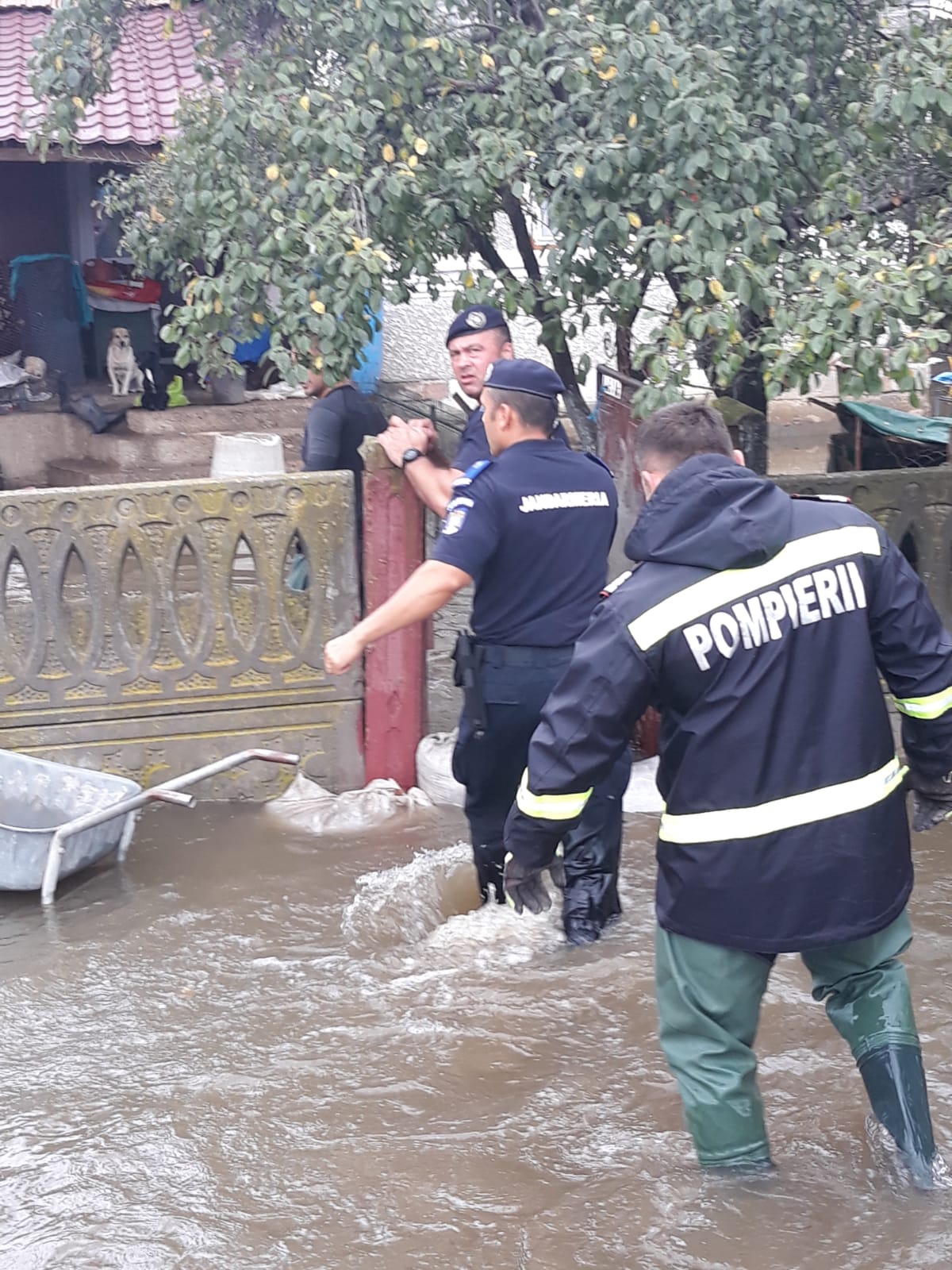 Aproape 70 de oameni au fost evacuați de jandarmi din case în Băbeni, Vâlcea. Râul Bistrița a ieșit din matcă / FOTO