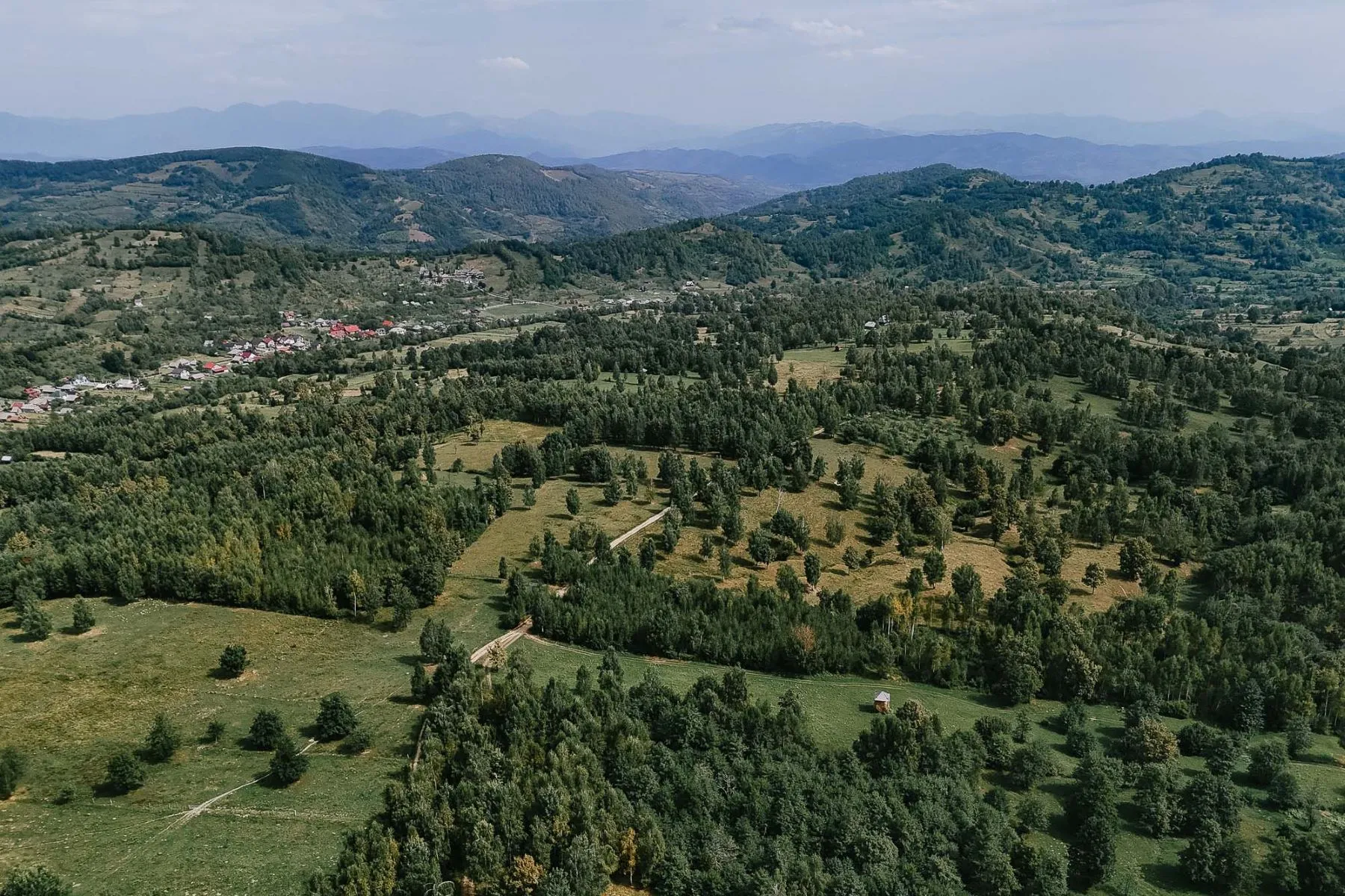 Domeniu de 94 de hectare din Maramureș, scos la vânzare. Cum arată conceptul unic de locuit în România: E un ansamblu de patru case tradiționale