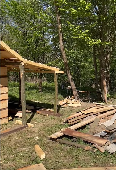 Cum arată cabana din pădure a Mihaelei Bilic după ce i-a pus acoperișul. Și-a amenajat și curtea, unde are hamac