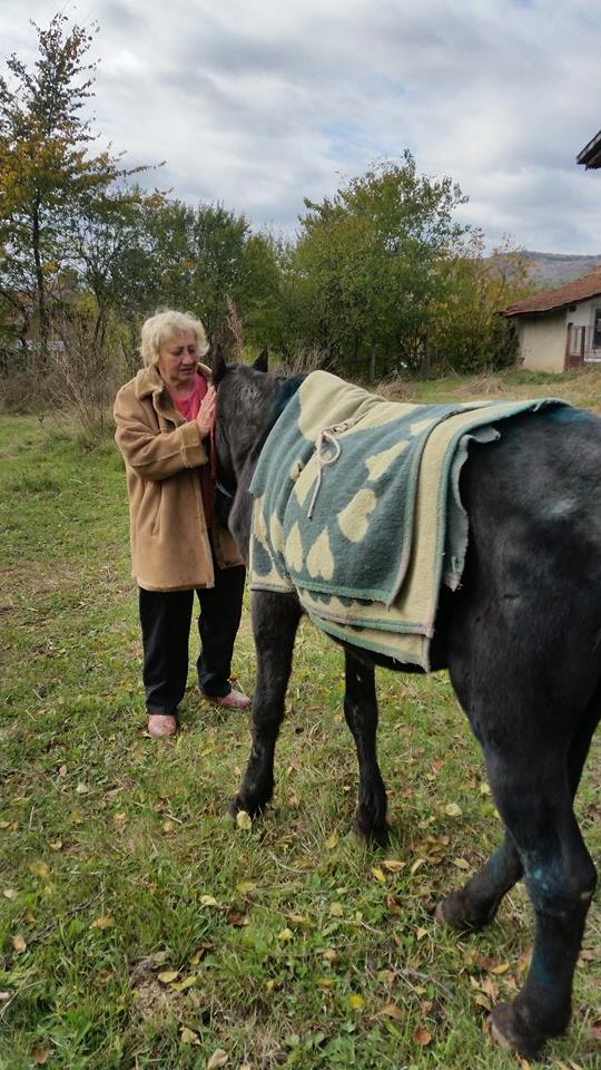 Ce a fost în capul lor? Câine tăiat cu sabia, cal maltratat și selfie cu lupul mort! FOTO