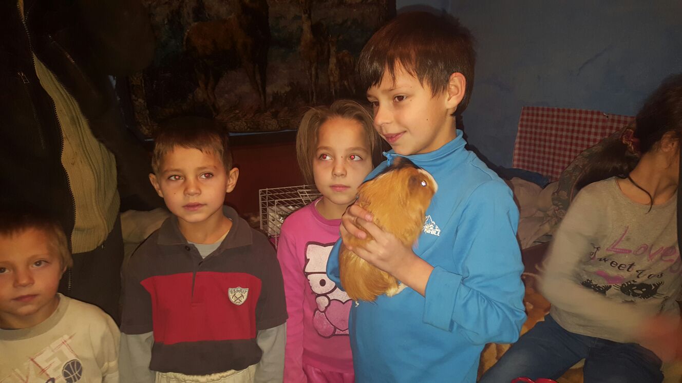 Reacția unor copii sărmani care au primit cadou un porcușor de Guineea: ”Wow, un iepure!”