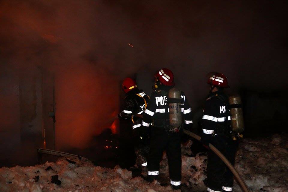 UPDATE | Incendiu la Circul Globus. 11 animale, printre care doi tigri, au pierit în flăcări. Ce spun anchetatorii / VIDEO&FOTO