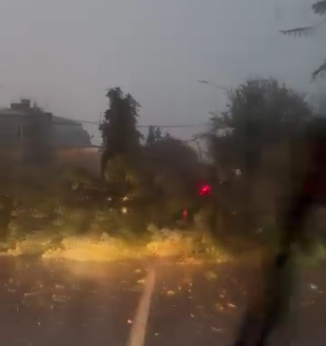 Furtună violentă la Iaşi: copaci doborâți de vânt peste mașini în cartierele Ciric și Tătărași