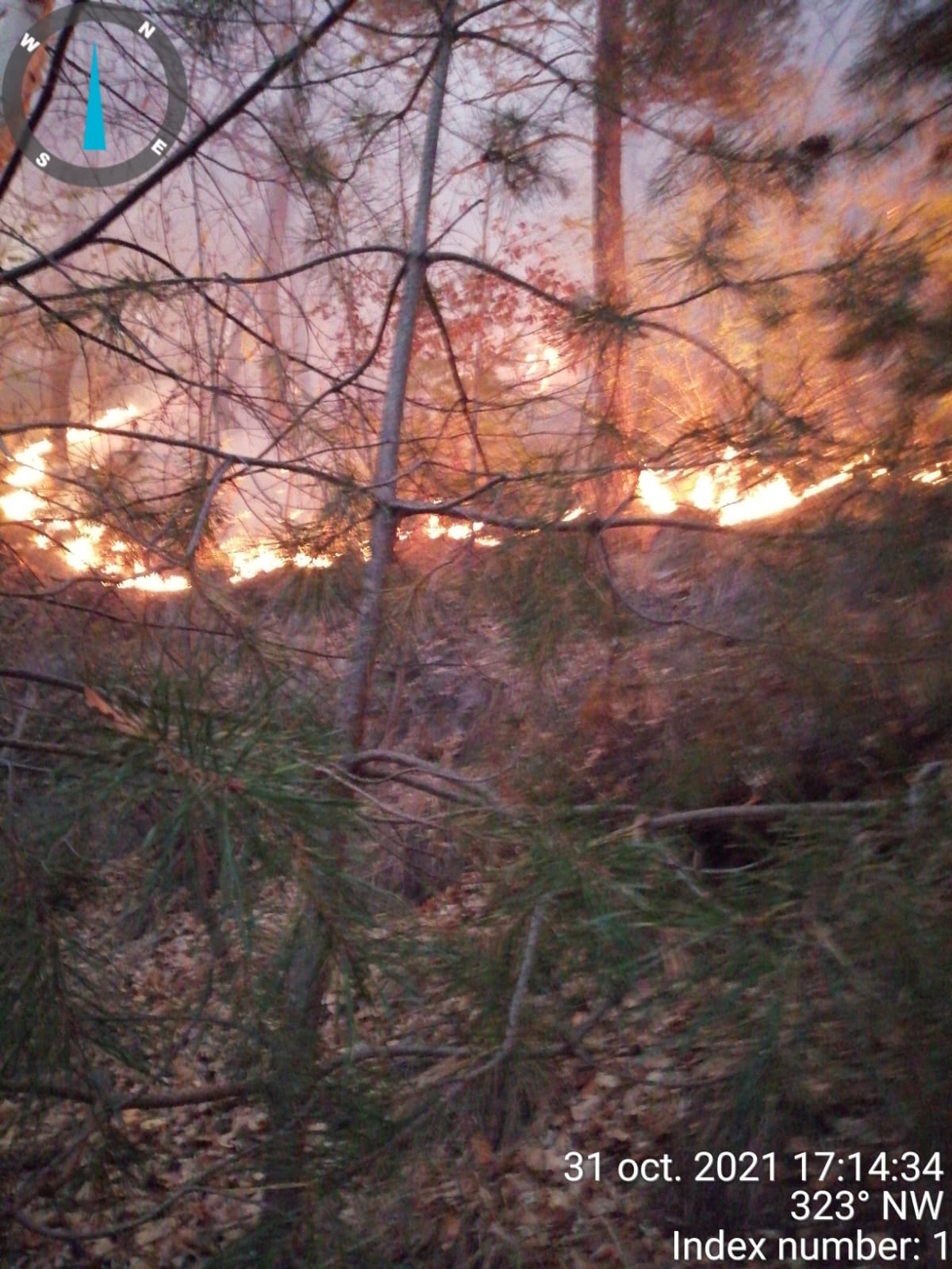 Pădurea de la Oituz arde de cinci zile. Incendiul s-a extins pe 28 de hectare