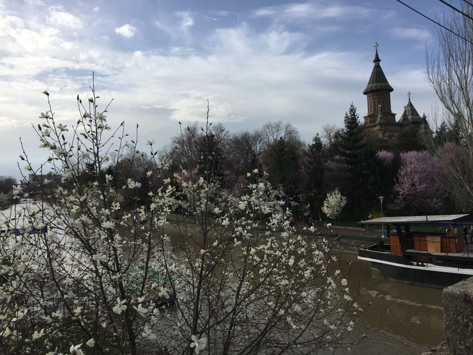 TURIST ÎN ȚARA MEA/ Timișoara înflorește odată cu primăvara. Mica Vienă, orașul premierelor cu o alură aparte de Paști
