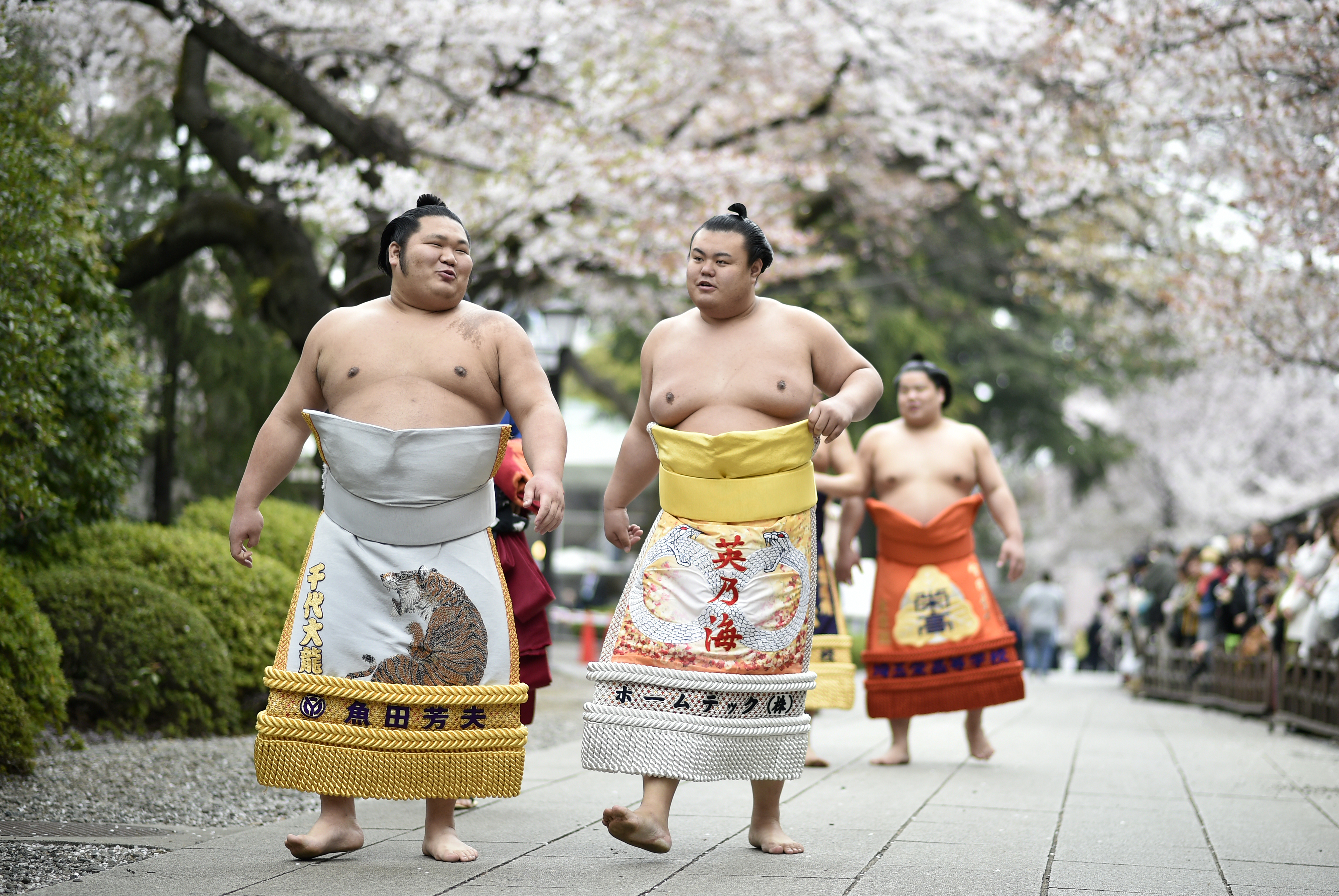 Luptătorii de sumo s-au dat în spectacol gratuit la Tokyo / FOTO