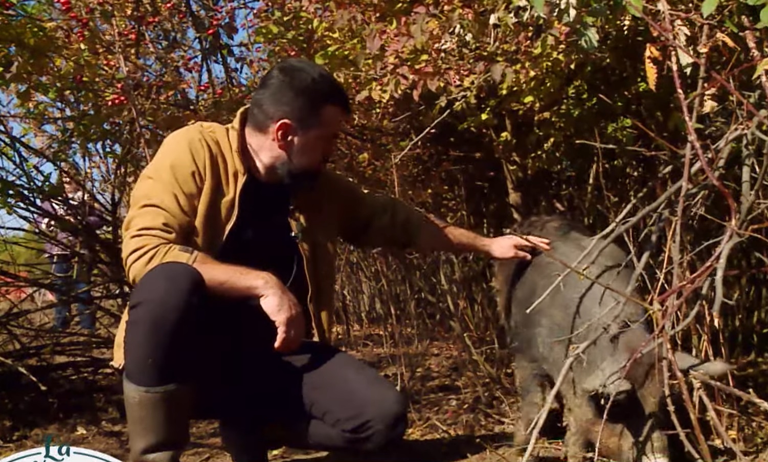 Imagini cu ferma de păsări și porci a tenorului Vlad Miriță. De la el cumpără carne Marcel Pavel, dar și Monica Anghel