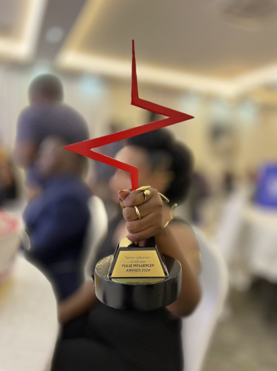 2024 Pulse Influencer Awards: Check out full list of winners