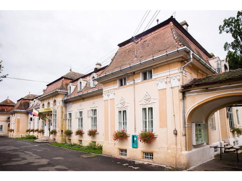 GALERIE FOTO| Pentru ce sumă a fost scos la vânzare Castelul Teleki, unul dintre cele mai importante edificii din Transilvania