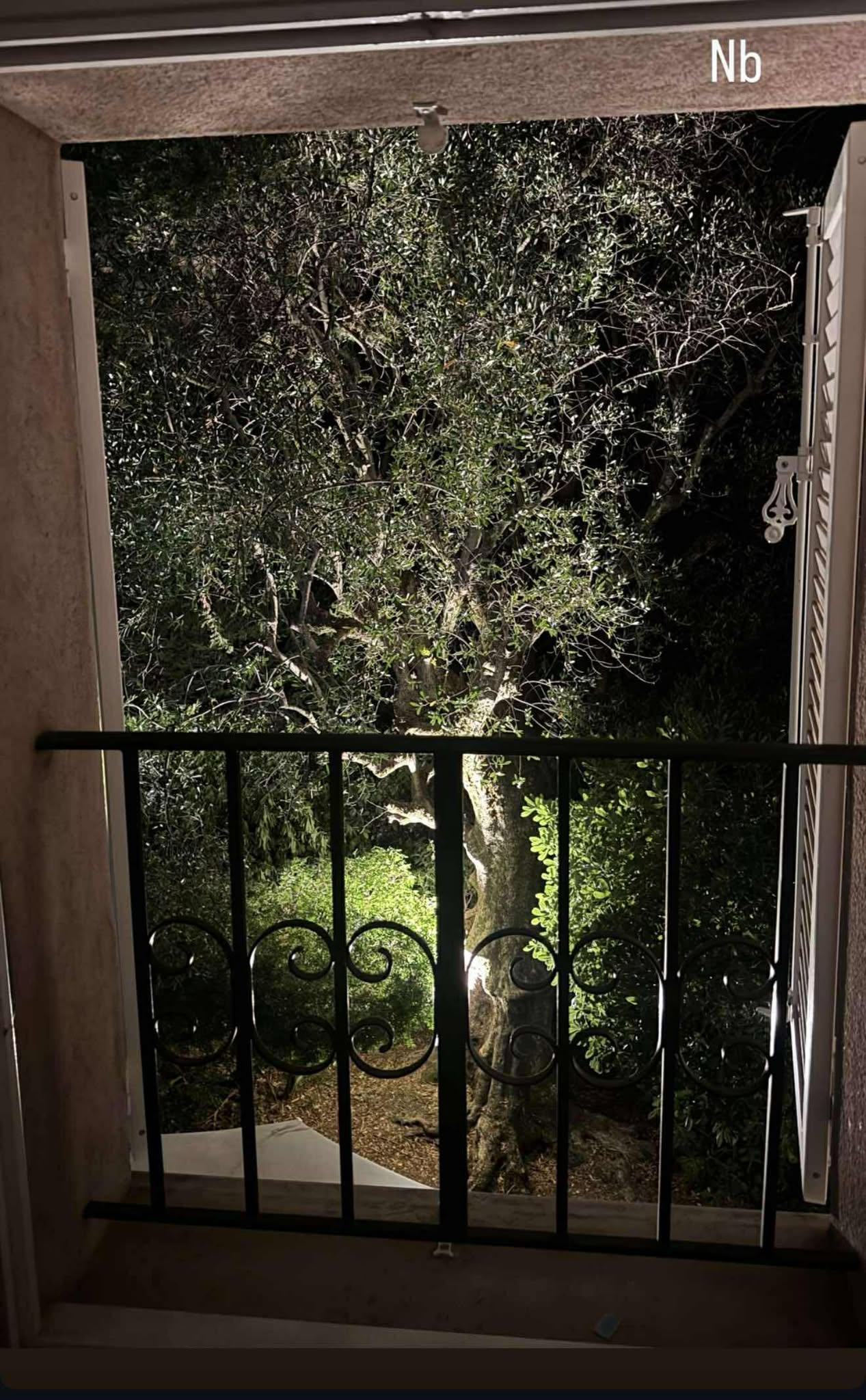 Imagini cu casa de vacanță din sudul Franței a Andreei Esca. Vedeta PRO TV a arătat locuința familiei