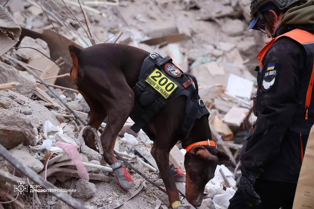 Povestea emoționantă a dobermanului-erou Hanna din Ucraina: „A salvat peste 170 de vieți până în ultima zi de viață”