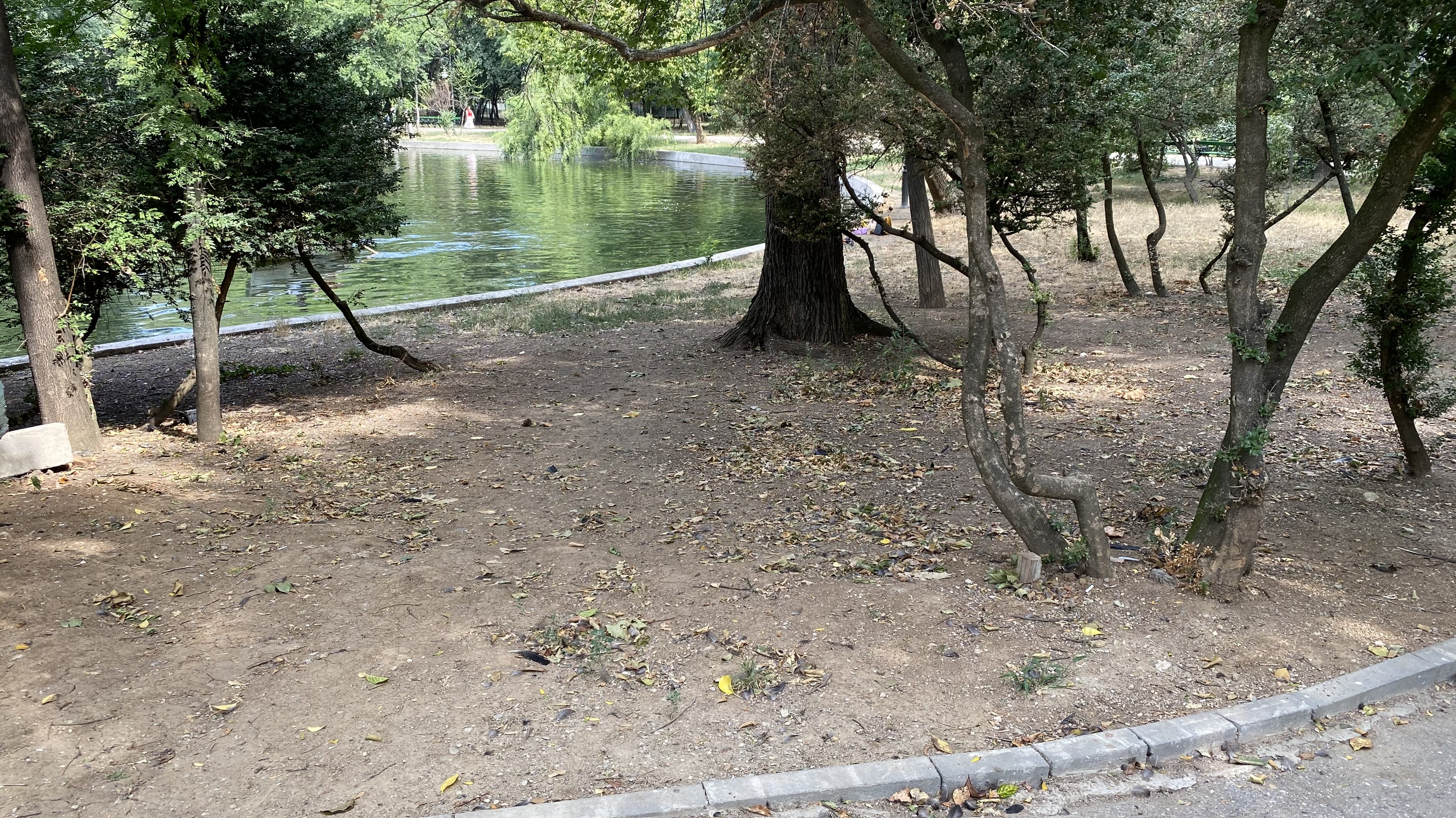Cișmigiu, mândria tristă a Bucureștiului: pământ în loc de iarbă, alei distruse, garduri rupte și mirosuri insuportabile