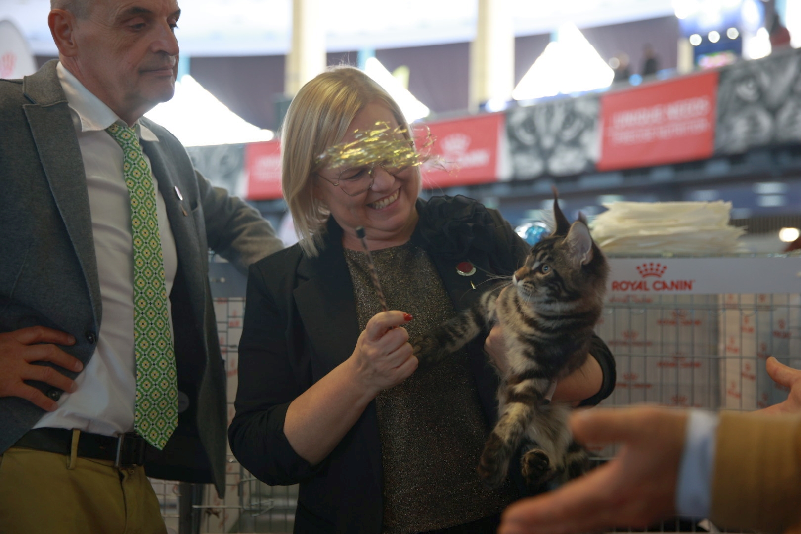 Libertatea a mers la Campionatul Mondial Felin. Bucureștiul, capitala mondială a pisicilor: peste 750 de feline din întreaga lume au strălucit la Romexpo