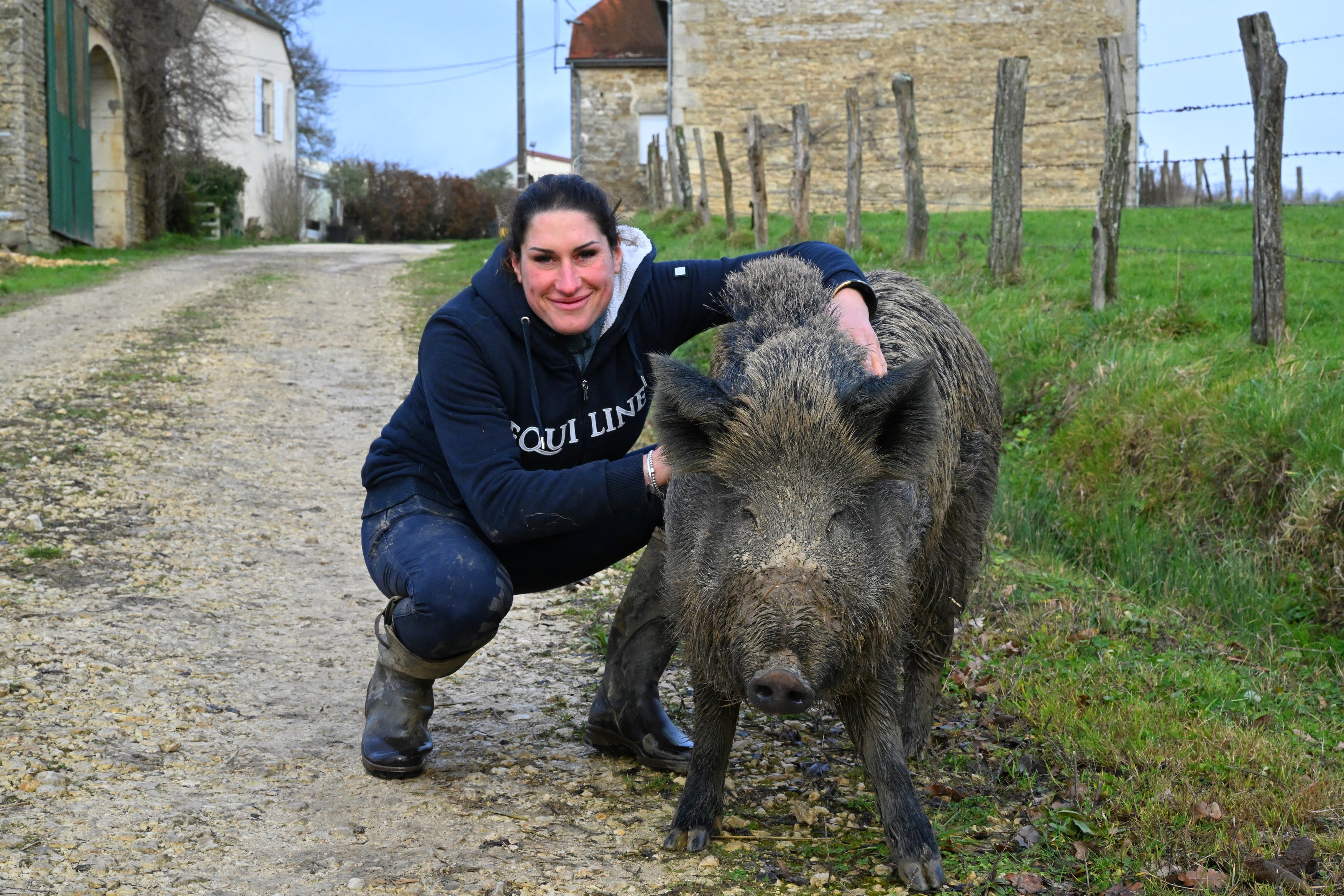 Victorie în instanță pentru Rillette, mistrețul salvat de la eutanasiere
