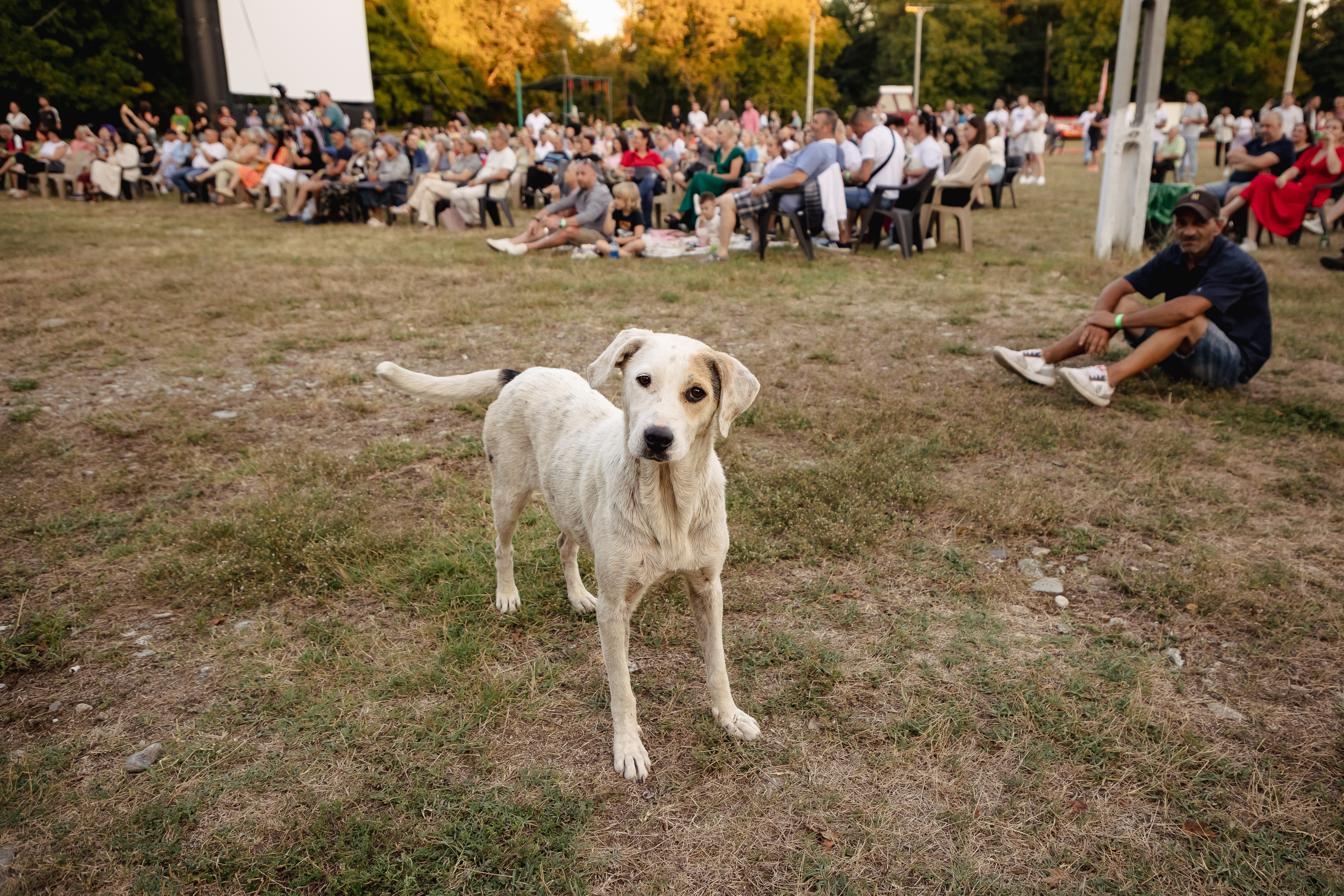REPORTAJ Actorul Cuzin Toma a venit cu Taraful Caliu să aducă Film în Sat, la Peștișani, Gorj: „Să știe oamenii care m-au văzut crescând că joc și roluri serioase!”