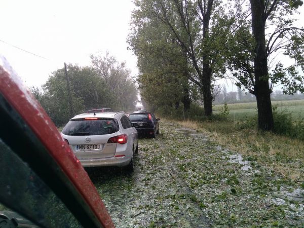 Furtună în mai multe județe din Transilvania. A plouat cu grindină, iar vântul a doborât zeci de copaci