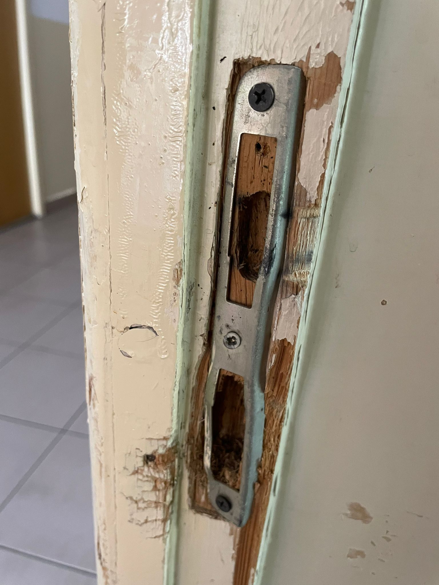 Cămin murdar, cu saltele pătate și gândaci pentru liceenii veniți în tabăra de vară a Universității din București. „Tu ai sta aici?”