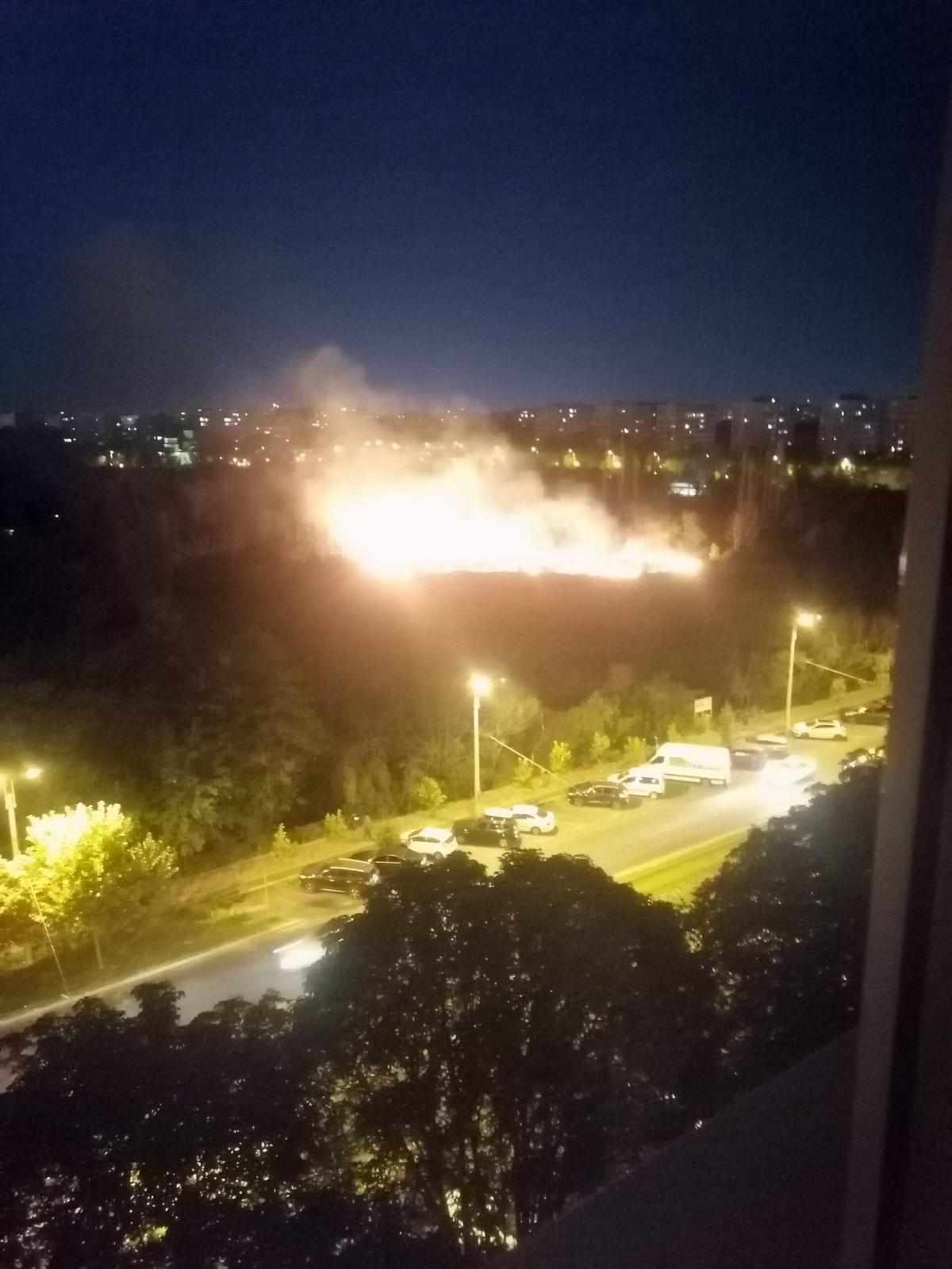 Incendiu puternic în Parcul IOR din București. Au ars 4.000 de metri pătrați de vegetație