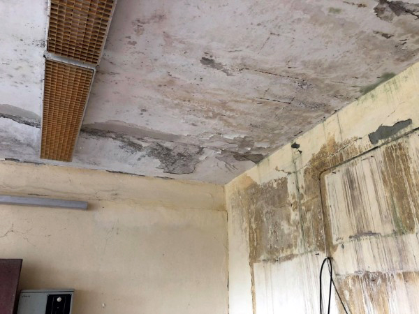 Cum este sărbătorită Marea Unire într-o zonă în care rușii sunt “stăpâni”. Singura școală cu predare în limba română risca în urmă cu un an să fie închisă