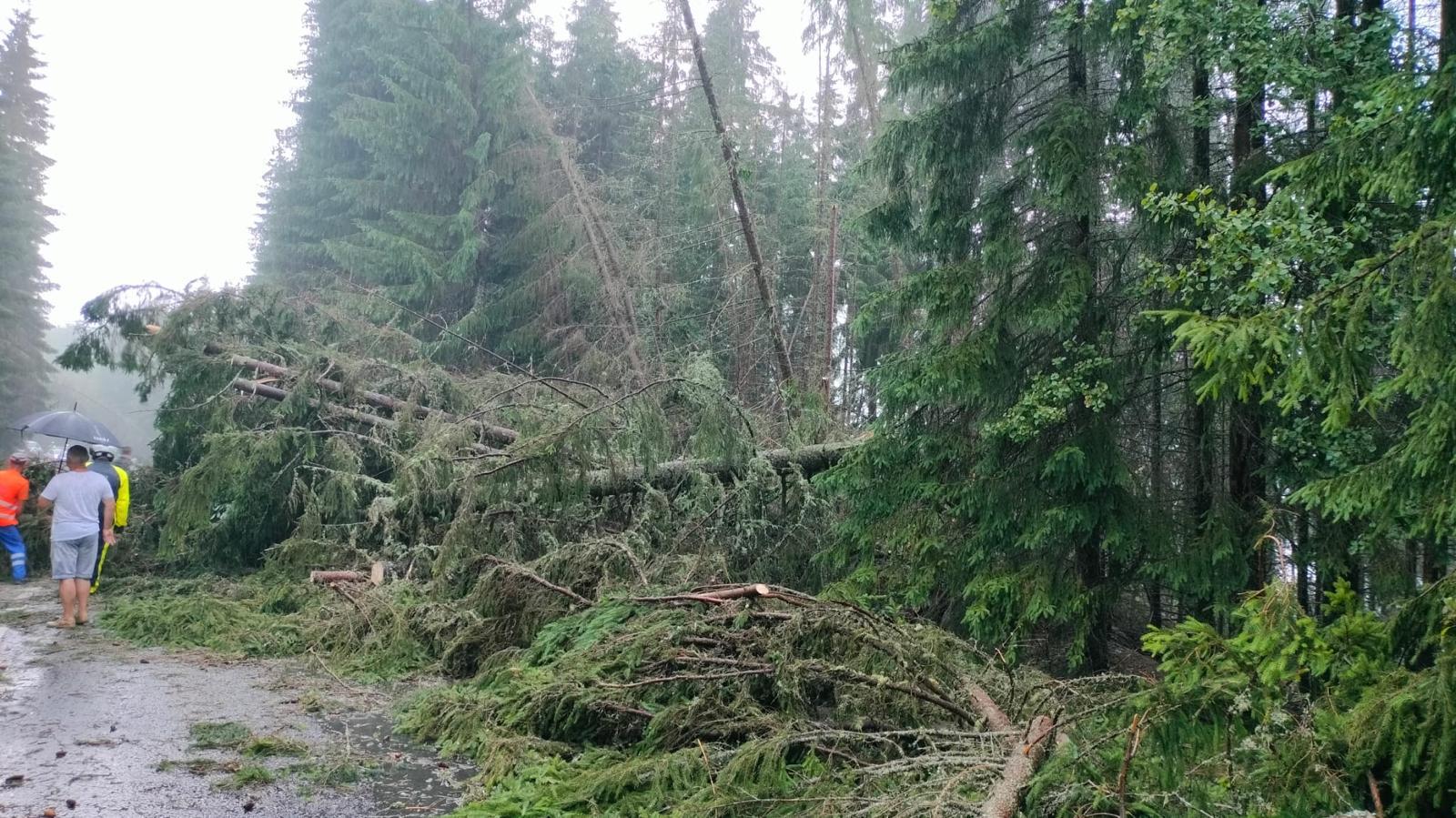 Zeci de mașini blocate pe Transalpina, după ce mai mulți copaci au căzut pe drum, în urma unei furtuni