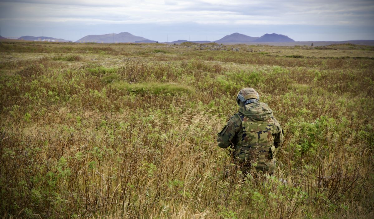 Singura țară din NATO care n-are armată e tot mai preocupată de strategia de apărare
