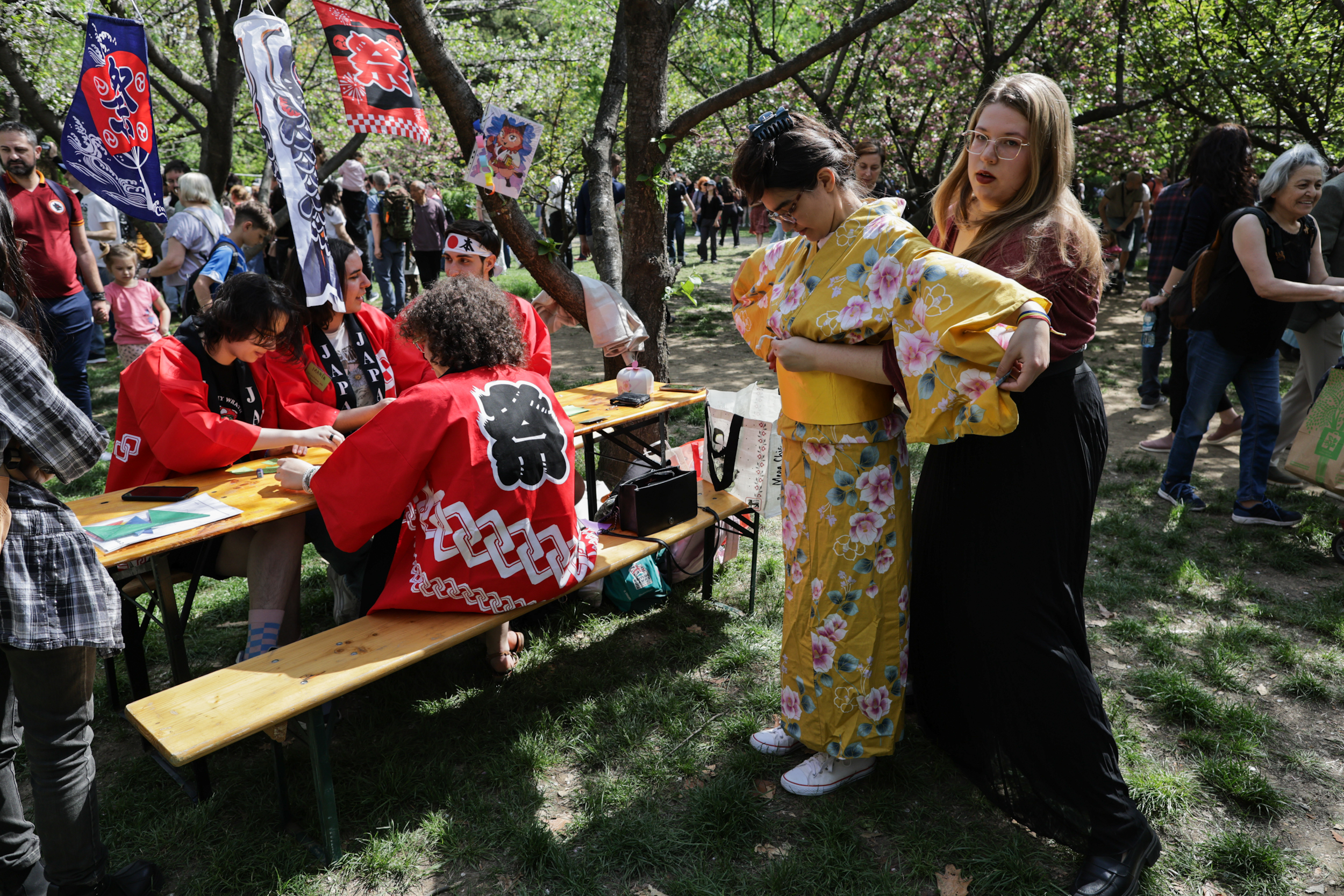 FOTO. Au înflorit cireșii în Grădina Japoneză din Parcul Herăstrău. Sute de persoane au asistat la „Festivalul Florilor de Cireș”
