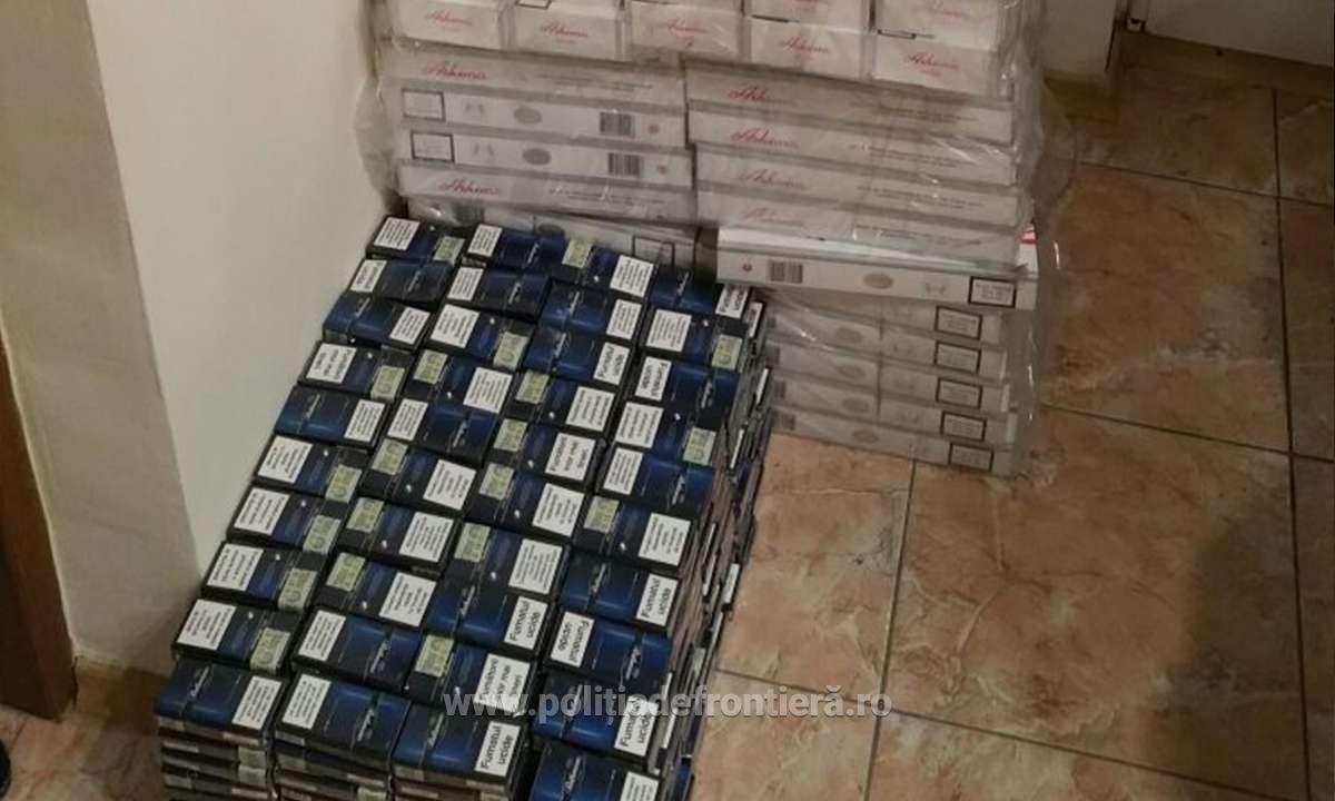 Averea îngropată în curtea unor contrabandiști de țigări din Constanța. Suma colosală a fost confiscată / FOTO&VIDEO