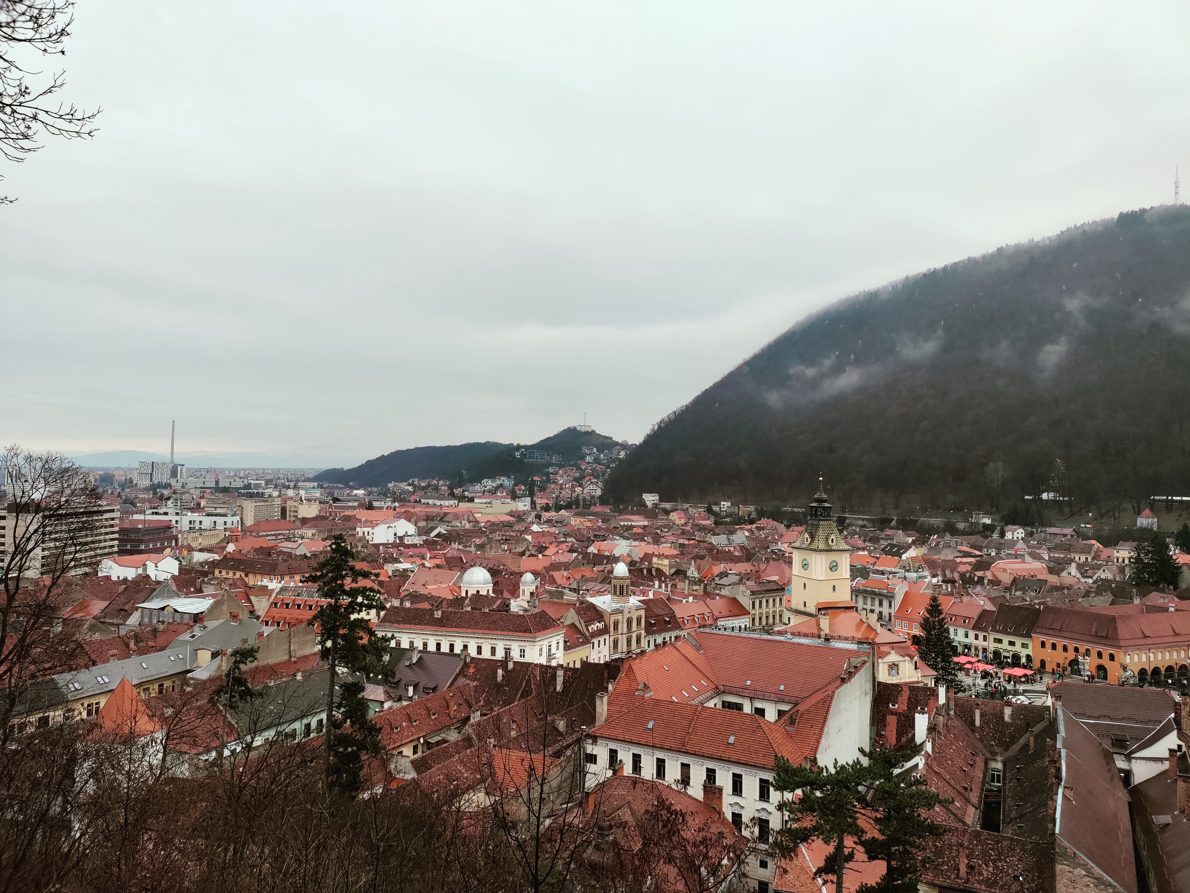 Americanii care s-au îndrăgostit de România și de țuică datorită unei burse Fulbright. „Nu resimt aici pericolul de jaf armat care există acasă”